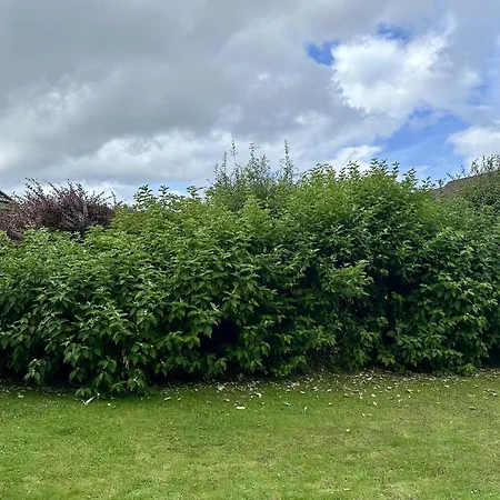 Nordsee Huus * Friedrichskoog-Spitze