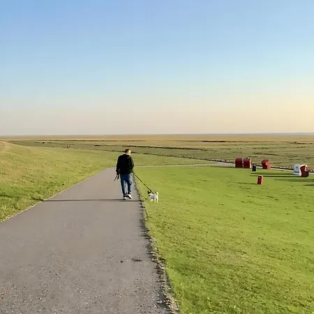 Nordsee Huus Friedrichskoog-Spitze