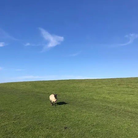 Nordsee Huus Friedrichskoog-Spitz